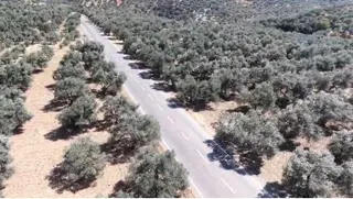 Prestijden Çiftlik Hobi Bahçesi Yaşamı Hayal Edenlere Fırsat