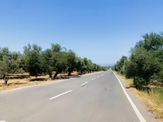 Prestijden Asvalt Cephe Gömeç Merkeze Yakın Düz Taban Zytnlk