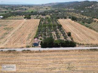 Aliağa Helvacıda Satılık 5796 M2 Tarla