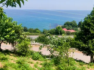 Güzelyalı'da Önü Kapanmayacak Deniz Manzaralı Arsa |konut İmarlı
