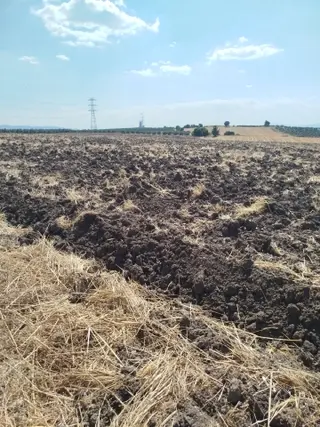 Sulu Büyük Tarla