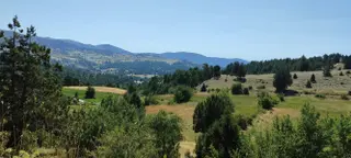 Çameli Cumaalanında Oniki Tapu 29500 M2 Fırsat Fiyata Tarlalar