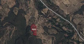 Ödemiş Çamlıca'da 4.308 M2 Satılık Tarla-bahçe