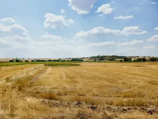Tekirdağ Malkara Kozyörük Mah. Satılık Tarla