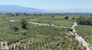 Kazimiye De 9328 M² Merkezi Konumda Satılık Tarla