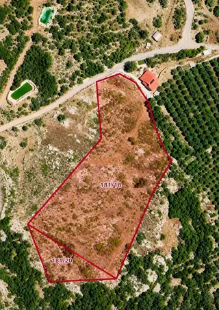 Aktiften Acil Satılık | 12.500 M² Yatırımlık Hurma Bahçesi