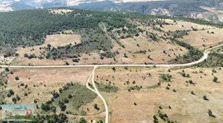 Doğanhisar Ayaspaşa Mahallesi'nde 6.996 M² Müstakil Tapulu Tarla