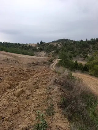 Bilecik Söğüt Küre Bağevine Uygun Kadastro Yolu 8dönüm Tarla