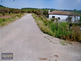 Balıkesir Ayvalık'ta Satılık 6543 M² Zeytin Ağaçlı Tarla