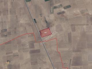 Konya Sarayönü Başhüyük'te 132.767 M² Satılık Tarla