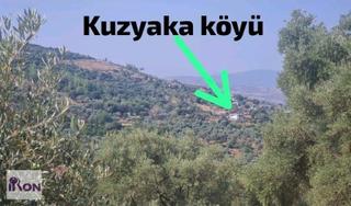 Milas Kuzyaka Köyü'nde Satılık Hisseli Tarla Yatırım Ve Takas