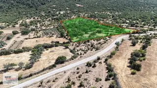 Menemen Karaorman Mahallesinde Satılık Tarla