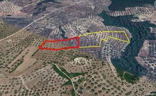 Elvan Özçelik'den Kuzyaka'da Satılık 5.800 M2 Hisse Zeytinlik
