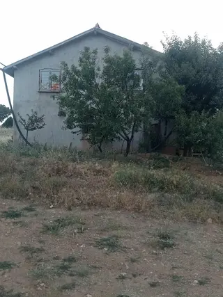 Bozkır Hamzalarda Yatırımlık 83.000 M2 Bağ
