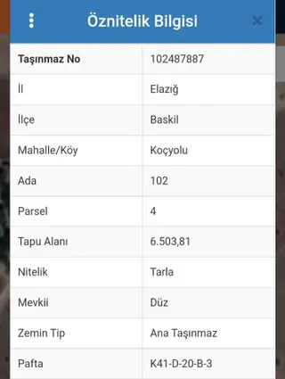 Elazığ Baskil Koçyolunda Satılık Tarla