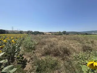 Karacabey Subaşı Mah. Satılık 927 M2 Müstakil Tapulu Tarla