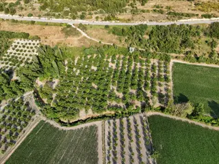 Balıkesir Altıeylül De Satılık 12.467m² Cevizlik