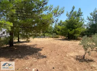 Didim Cem Emlak Tan Seyrantepe De Satılık 628 M2 Arsa