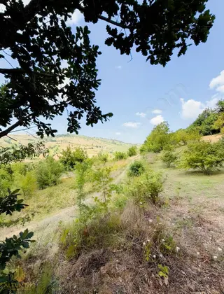 Kandıra Pirceler Köyünde Yerleşim Yerine Yakın 1.800 M² Tarla