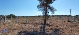 Çeşme Germiyan^da Panoramik Deniz Manzaralı 261 M2 Tarla
