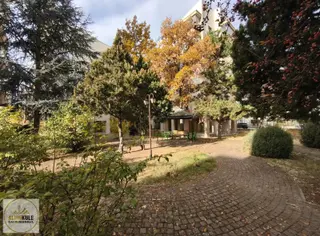 Altınkule'den Bulvar Üzeri Sedir Sitesinde Kiralık 3+1