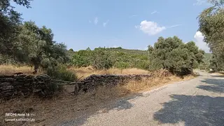 Milas Şenköy'de Asfalta Cepheli Satılık Hobi Bahçesi