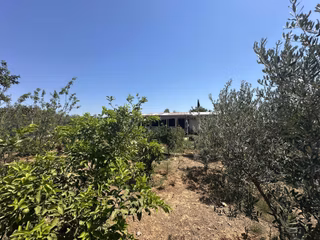 Güzelobada Zilyetli 700 M² Alanda 4+1 Müstakil Ev