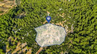 Menteşe Kuyucak'ta Satılık 5.932 M² Tarla