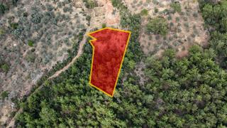 Muğla Akyaka'ya 15 Dakika Mesafede Yatırımlık 693m² Tarla