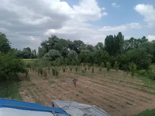 Satılık Meyve Ağaçları Olan Bahçe