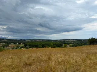 Arı Emlak'tan Satılık Sinop Dibeklide 1420m2 Tarla