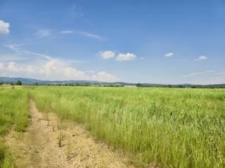 Kartepe Uzunbey Çayırdönümü Mevkinde 6.243m2 Satılık Tarla