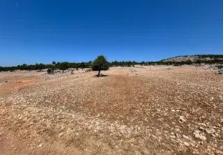 Kösbucağı Mahallesinde Satılık 5.5 Dönüm Yer