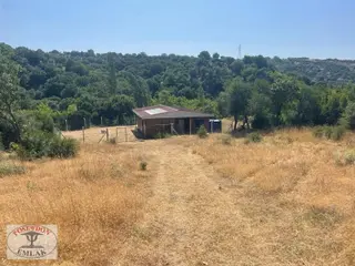 Ayvacık Sapanca 3+1 Müstakil Sıfır Dere Cepheli