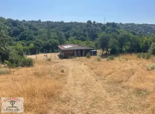 Ayvacık Sapanca 3+1 Müstakil Sıfır Dere Cepheli