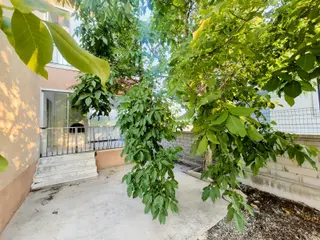 Rotam Emlaktan Ortacada Müstakil Tadında 3+1 Geniş Kiralık Daire