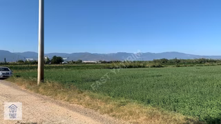 Balıkesir Burhaniye Havaalanın Yanında Fırsat Kelepir Tarla