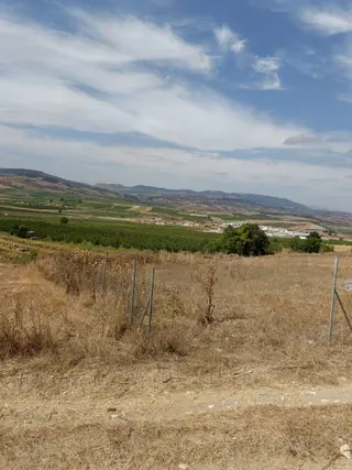 Bursa Yenişehir Ebeköy Satılık 1000m Tarla