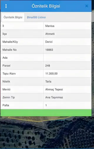 Nova'dan Ahmetli Derici De Satılık Zeytinlik (hobi Bahçesi)