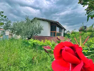 Uytundan Pelitköyde Denize 300 Metre Bahçe Kullanımlı 2+1 Villa