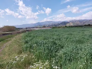 Dyg Danışmanlık Hizmetlerinden Satılık Tarla