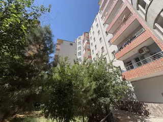 Alaaddin Okçu K İ R A L I Y O R Kültür Mah. 3+1