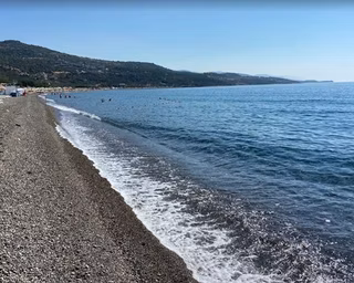 Assos'ta Kaçırılaz Fırsat | Turizm Alanına Yakın 3.151 M² Zeytinlik
