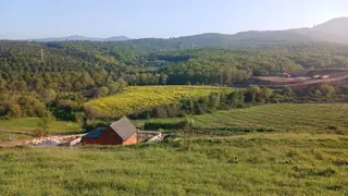 Çalıca Satılık 435 M2 Imarlı Arsa