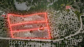Sındırgı Çayır Mahallesinde 12.920 M2 Satılık 3 Parsel Tarla