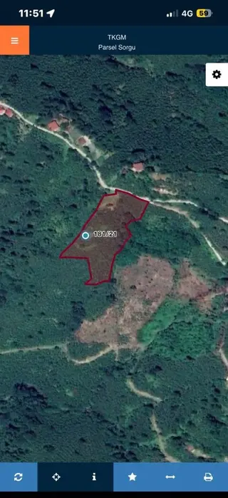Ordu Perşembe Satılık Tek Tapu Fındık Bahçesi