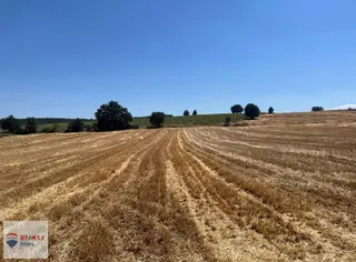 Bursa İnegöl Karagölet Mah.6.700 M2 Kadastro Yola Cephe Tarla
