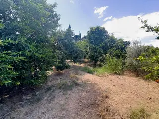Evşen Gayrimenkulden Emsallerinin Çok Altında Acil Satılık Arazi