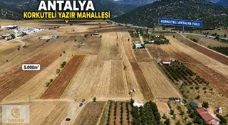 Antalya Korkuteli Yazır Mahallesinde 5.000 M² Satılık Tarla