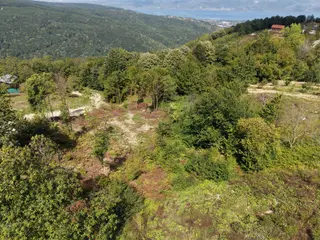 Sapanca Balkaya’da 3.193 M2 Satılık Bahçe